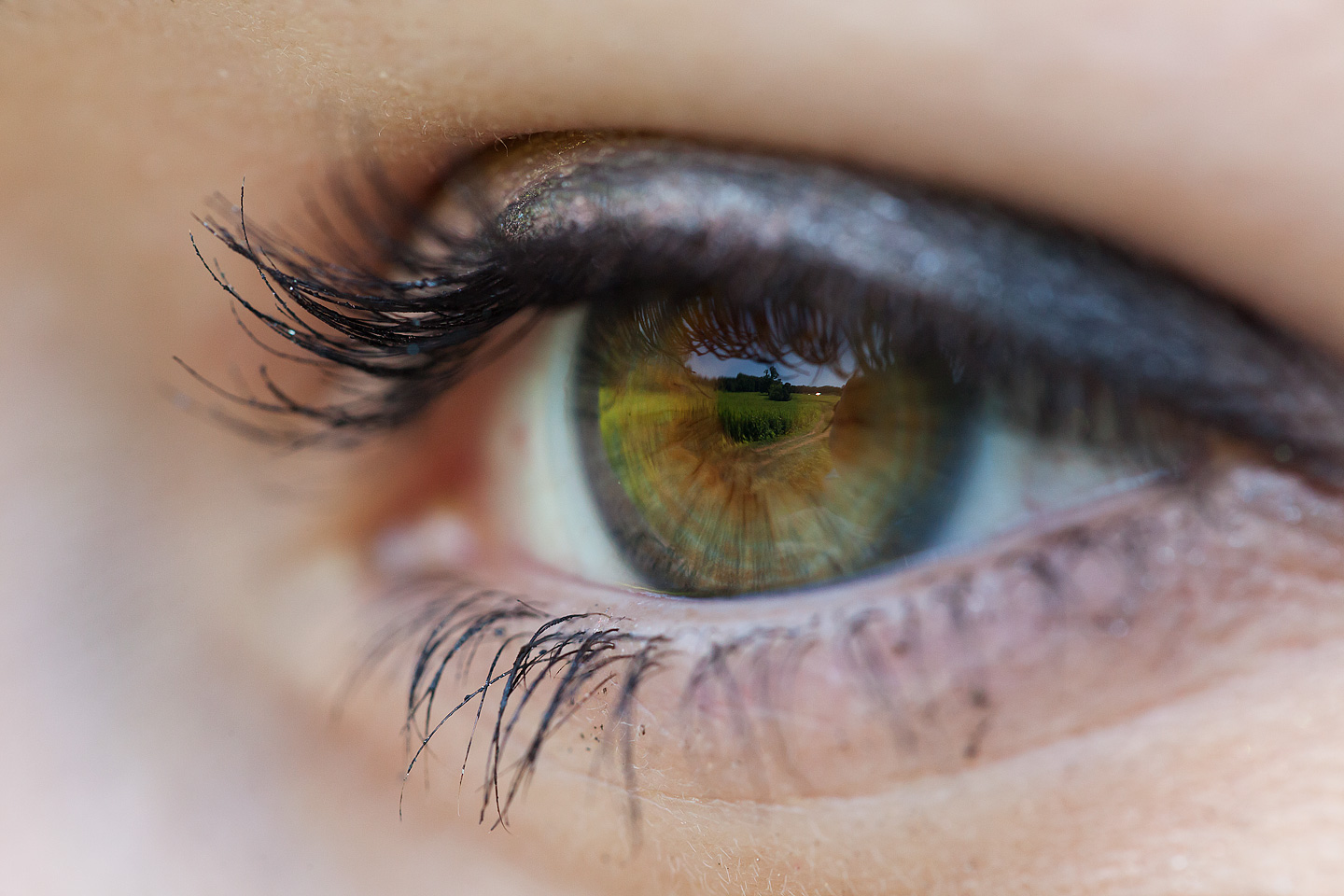 Stunning Hazel Eyes Longwood Gardens, Pennsylvania Redemption Designs