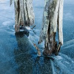 Cracks and Splinters - Manasquan Reservoir, NJ