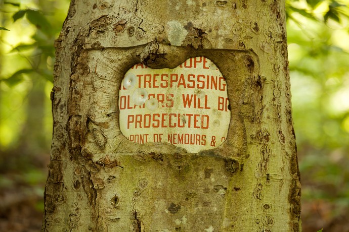 No Trespassing - White Clay Creek Preserve, Pennsylvania