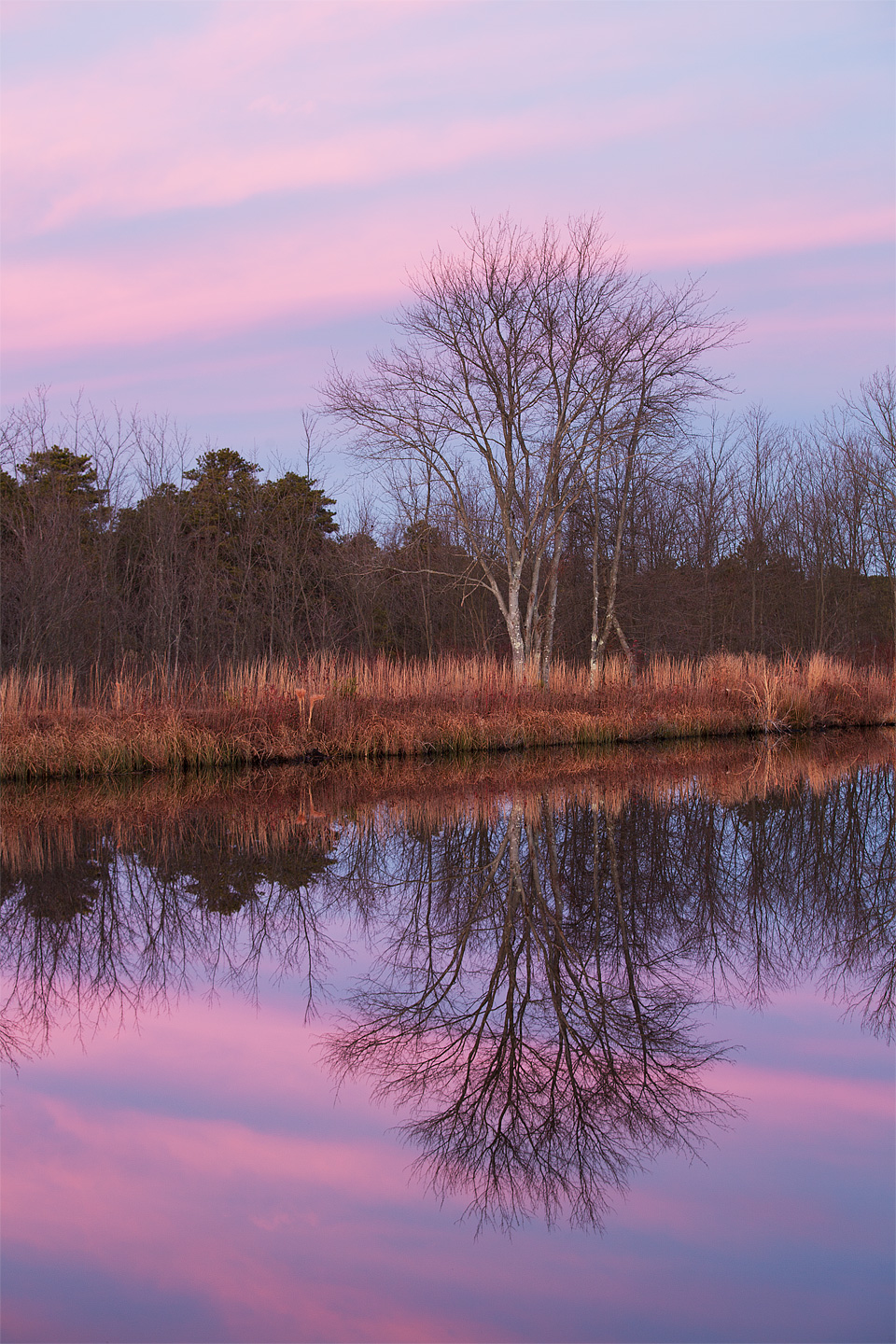 Twilight Reflections - Whitesbog Preservation Trust, Pemberton, New Jersey