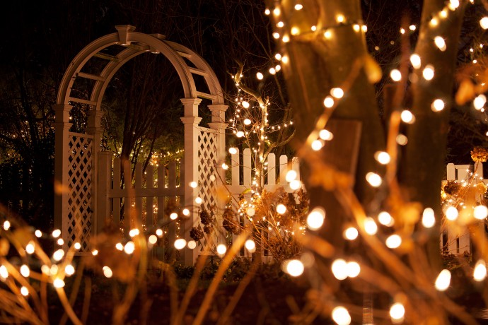 Christmas Lights - BCN Horticulture - Spring Lake, New Jersey