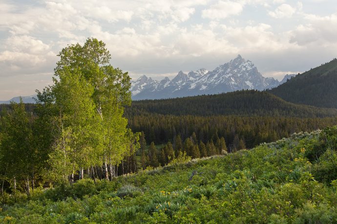 View from Lozier Hill - Grand Teton National Park, Wyoming