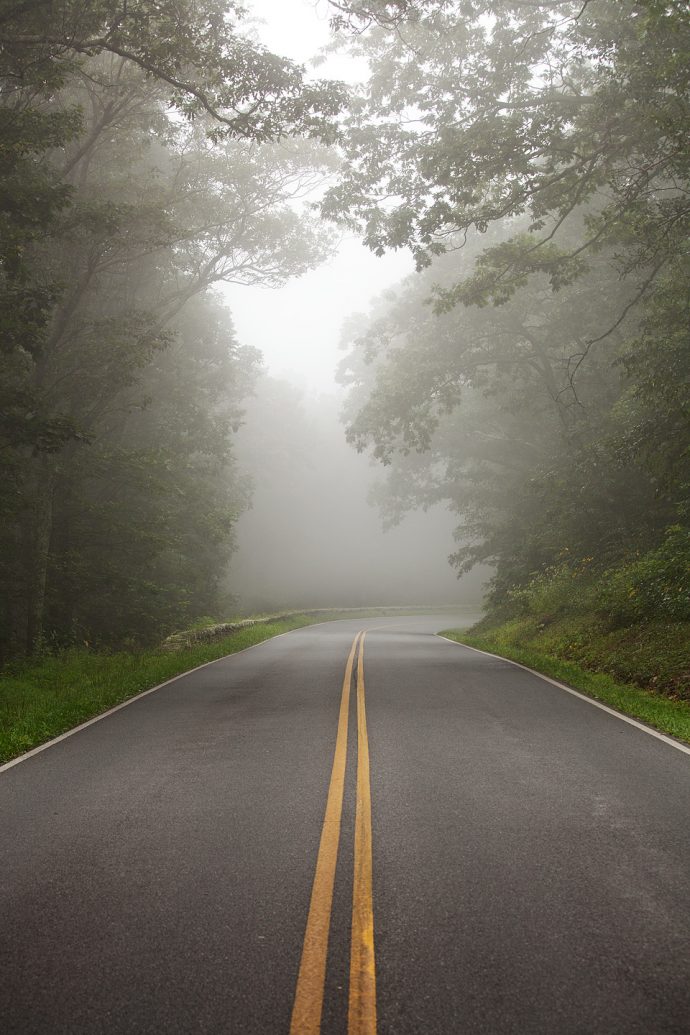 Skyline Drive in Fog - Shenandoah National Park, Virginia
