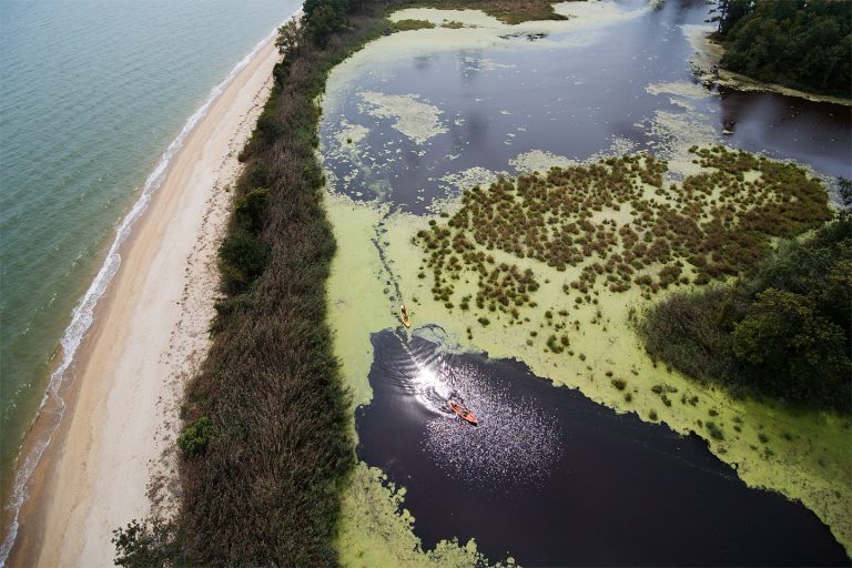 Exploring by Kayak Sandy Point, Kinsale, Virginia Redemption Designs