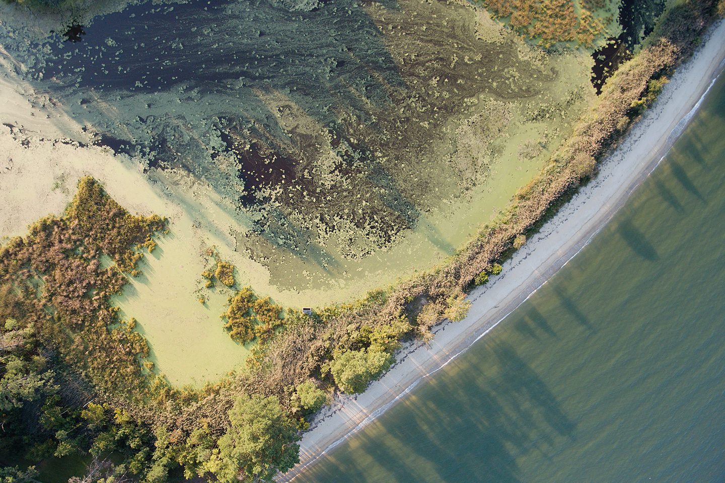 Pond Shoreline - Sandy Point, Kinsale, Virginia