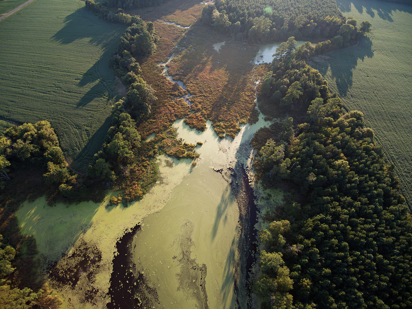 Evening High Above the Pond 2 Sandy Point, Kinsale, Virginia