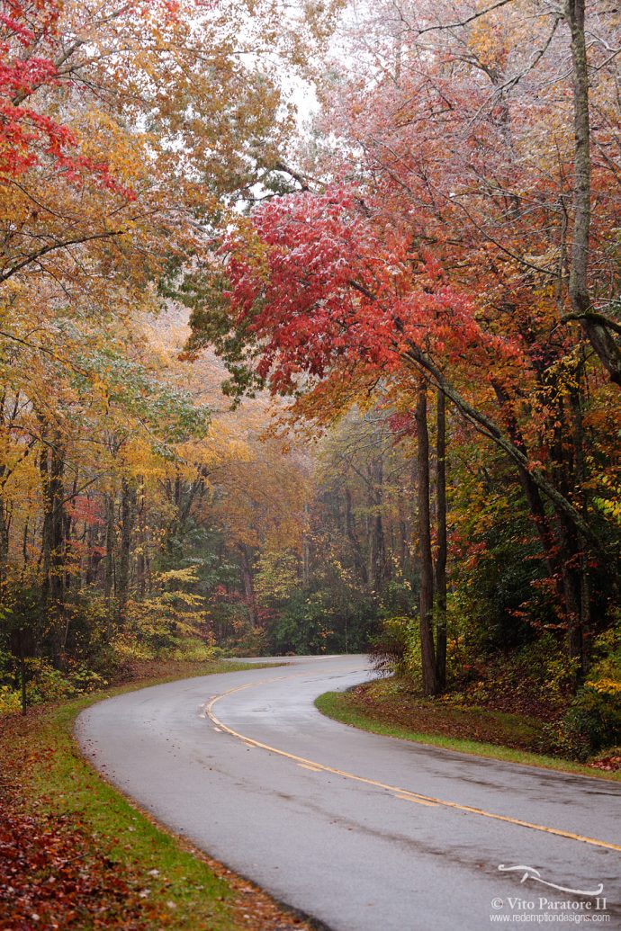 Autumn to Snow Transition - Great Smoky Mountains National Park, Tennessee