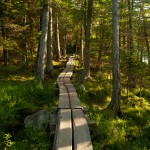 Jordan Pond Boardwalk - Acadia National Park, Maine