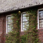 Ivy Covered Buttresses - Spring Lake Community House