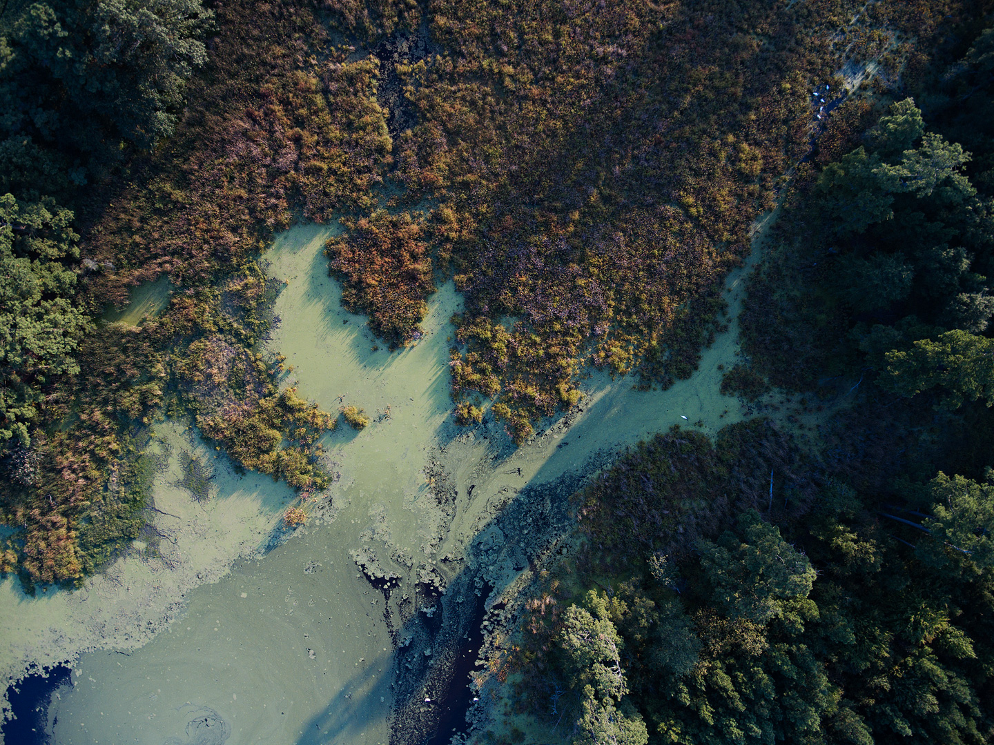 Sunset Shadows Sandy Point Pond, Kinsale, Virginia Redemption Designs